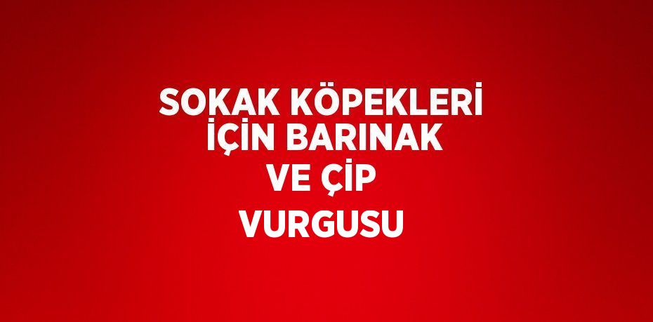 SOKAK KÖPEKLERİ İÇİN BARINAK VE ÇİP VURGUSU