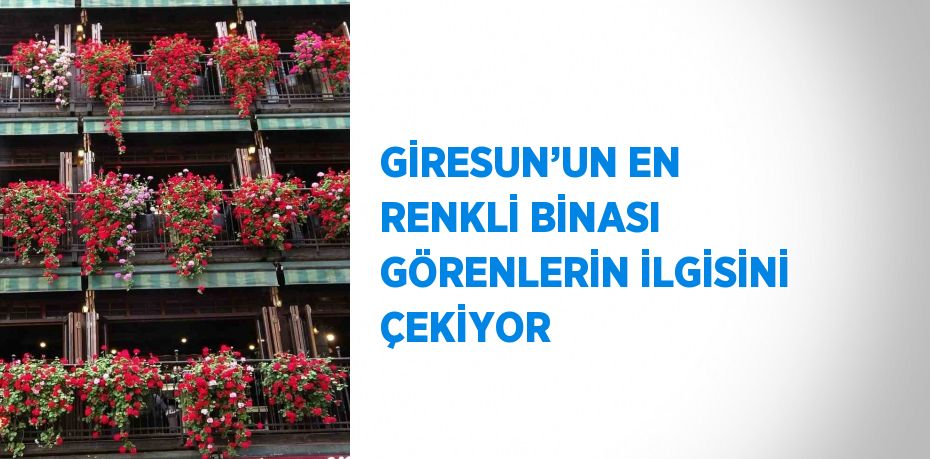 GİRESUN’UN EN RENKLİ BİNASI GÖRENLERİN İLGİSİNİ ÇEKİYOR