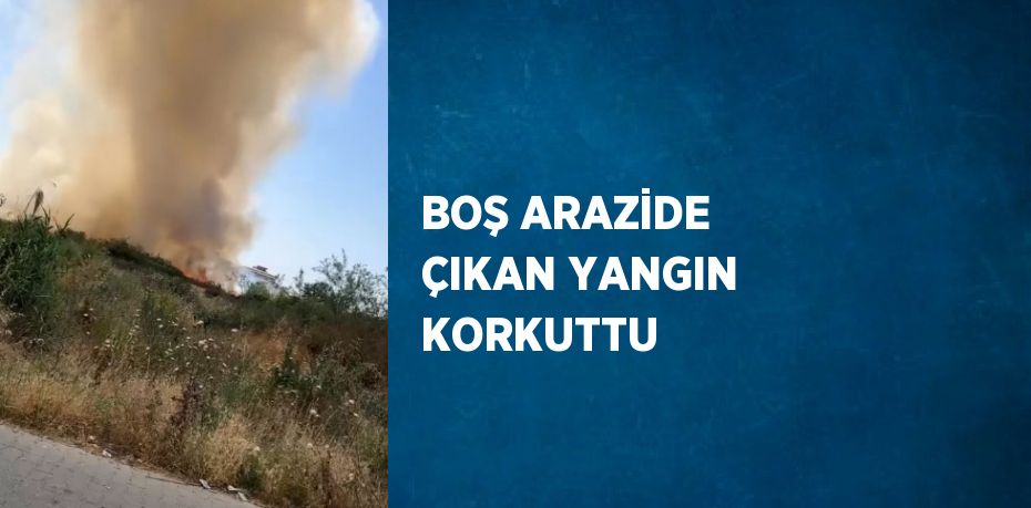 BOŞ ARAZİDE ÇIKAN YANGIN KORKUTTU