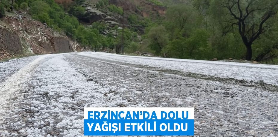 ERZİNCAN’DA DOLU YAĞIŞI ETKİLİ OLDU