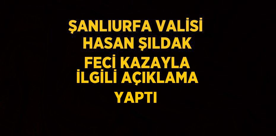 ŞANLIURFA VALİSİ HASAN ŞILDAK FECİ KAZAYLA İLGİLİ AÇIKLAMA YAPTI