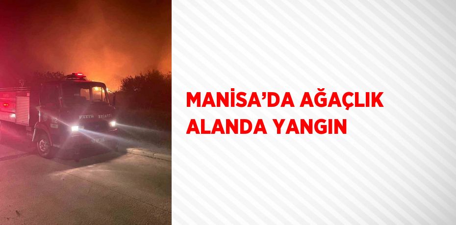 MANİSA’DA AĞAÇLIK ALANDA YANGIN