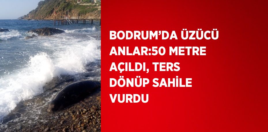 BODRUM’DA ÜZÜCÜ ANLAR:50 METRE AÇILDI, TERS DÖNÜP SAHİLE VURDU