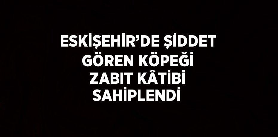 ESKİŞEHİR’DE ŞİDDET GÖREN KÖPEĞİ ZABIT KÂTİBİ SAHİPLENDİ