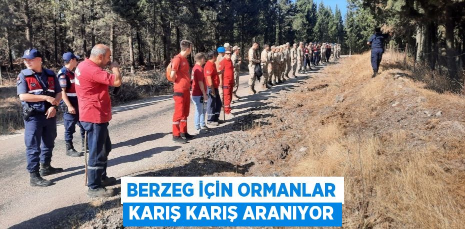 Berzeg için ormanlar karış karış aranıyor