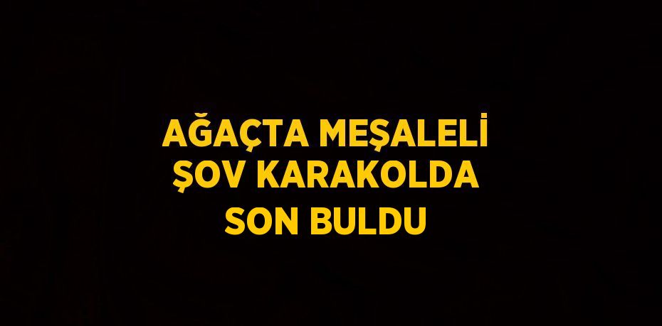 AĞAÇTA MEŞALELİ ŞOV KARAKOLDA SON BULDU