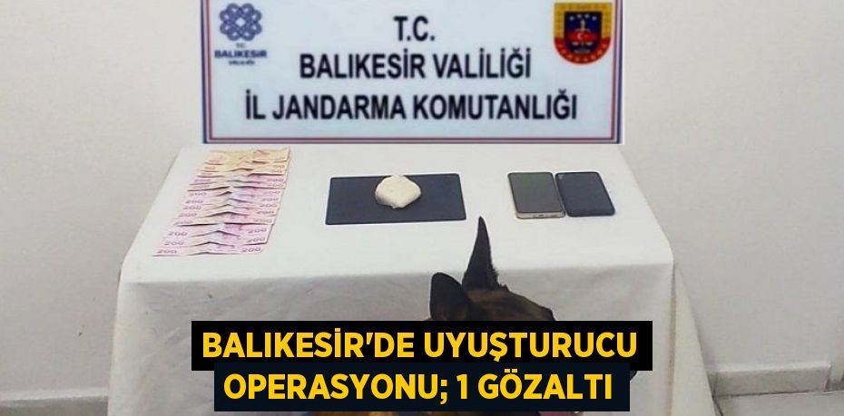 Balıkesir'de uyuşturucu operasyonu; 1 gözaltı