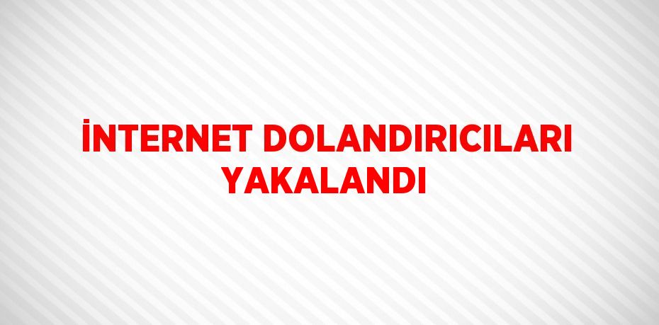 İNTERNET DOLANDIRICILARI YAKALANDI