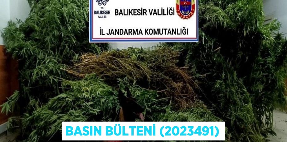 Basın Bülteni (2023491)