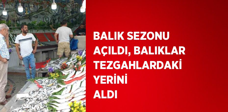 BALIK SEZONU AÇILDI, BALIKLAR TEZGAHLARDAKİ YERİNİ ALDI