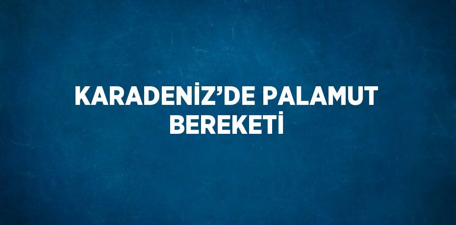 KARADENİZ’DE PALAMUT BEREKETİ