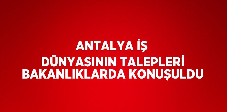 ANTALYA İŞ DÜNYASININ TALEPLERİ BAKANLIKLARDA KONUŞULDU