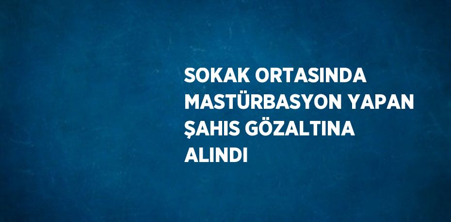 SOKAK ORTASINDA MASTÜRBASYON YAPAN ŞAHIS GÖZALTINA ALINDI