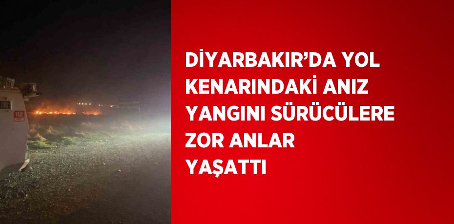 DİYARBAKIR’DA YOL KENARINDAKİ ANIZ YANGINI SÜRÜCÜLERE ZOR ANLAR YAŞATTI