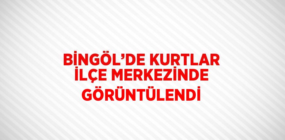 BİNGÖL’DE KURTLAR İLÇE MERKEZİNDE GÖRÜNTÜLENDİ