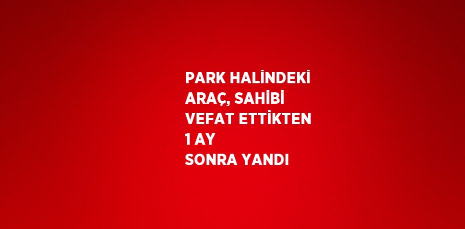 PARK HALİNDEKİ ARAÇ, SAHİBİ VEFAT ETTİKTEN 1 AY SONRA YANDI