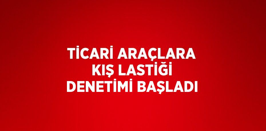 TİCARİ ARAÇLARA KIŞ LASTİĞİ DENETİMİ BAŞLADI