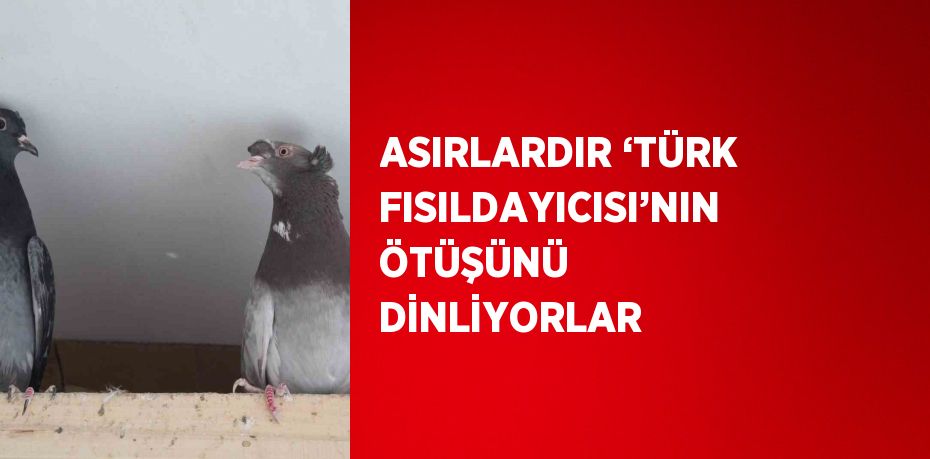 ASIRLARDIR ‘TÜRK FISILDAYICISI’NIN ÖTÜŞÜNÜ DİNLİYORLAR