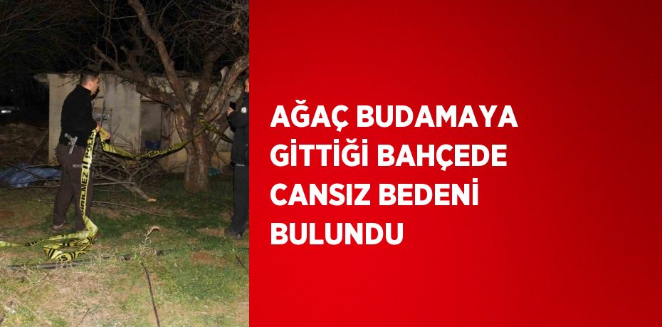 AĞAÇ BUDAMAYA GİTTİĞİ BAHÇEDE CANSIZ BEDENİ BULUNDU