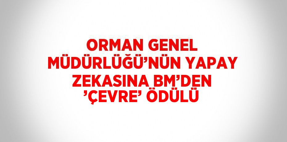 ORMAN GENEL MÜDÜRLÜĞÜ’NÜN YAPAY ZEKASINA BM’DEN ’ÇEVRE’ ÖDÜLÜ