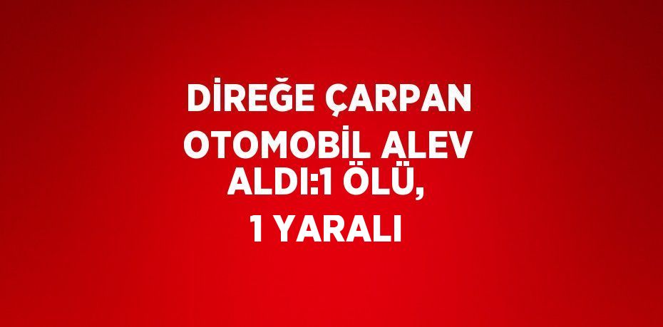 DİREĞE ÇARPAN OTOMOBİL ALEV ALDI:1 ÖLÜ, 1 YARALI