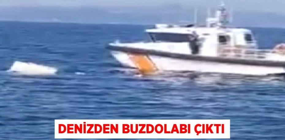 Denizden buzdolabı çıktı