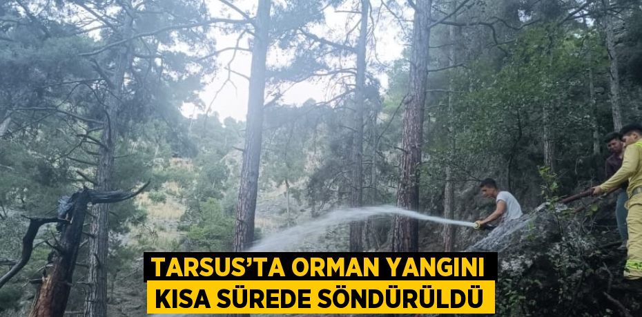 TARSUS’TA ORMAN YANGINI KISA SÜREDE SÖNDÜRÜLDÜ