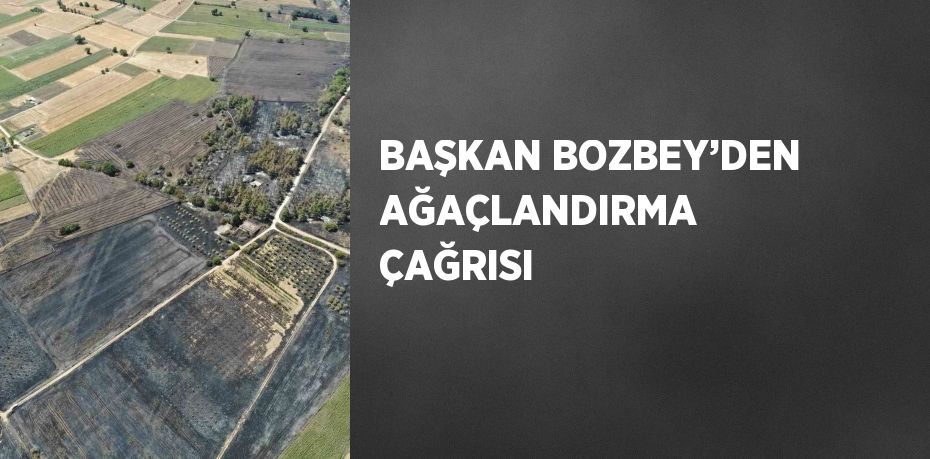 BAŞKAN BOZBEY’DEN AĞAÇLANDIRMA ÇAĞRISI