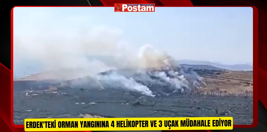 Erdek'teki orman yangınına 4 helikopter ve 3 uçak müdahale ediyor