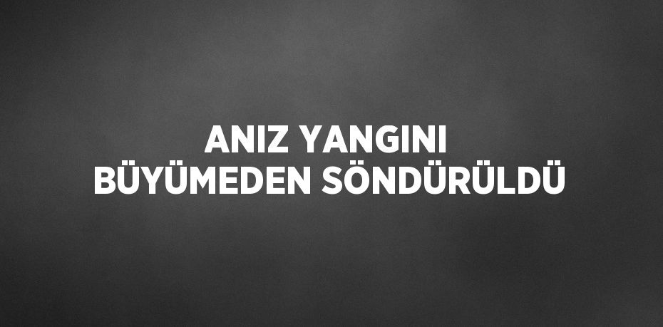 ANIZ YANGINI BÜYÜMEDEN SÖNDÜRÜLDÜ