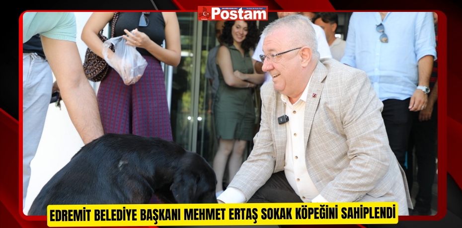 Edremit Belediye Başkanı Mehmet Ertaş sokak köpeğini sahiplendi