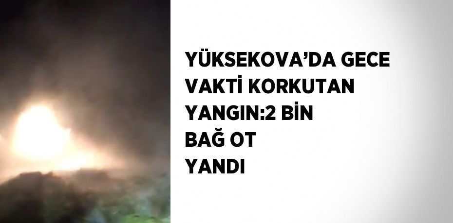 YÜKSEKOVA’DA GECE VAKTİ KORKUTAN YANGIN:2 BİN BAĞ OT YANDI