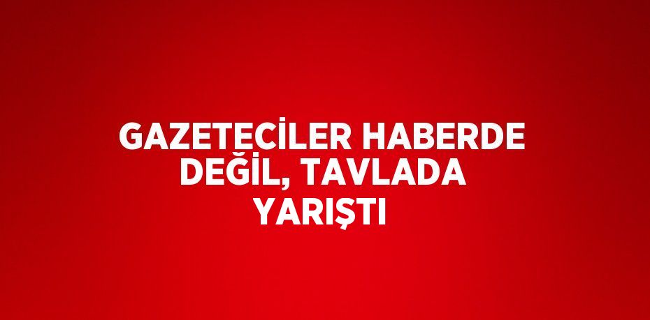 GAZETECİLER HABERDE DEĞİL, TAVLADA YARIŞTI