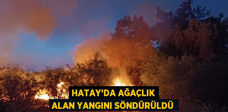 HATAY’DA AĞAÇLIK ALAN YANGINI SÖNDÜRÜLDÜ