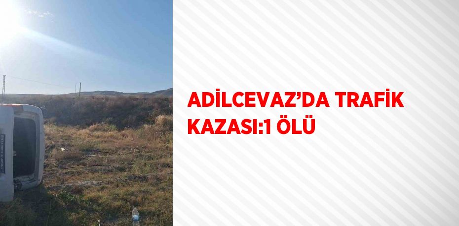 ADİLCEVAZ’DA TRAFİK KAZASI:1 ÖLÜ