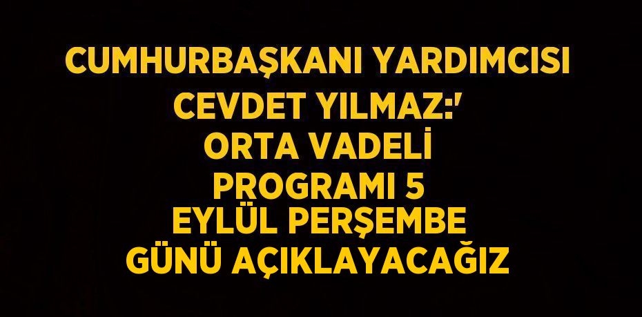 CUMHURBAŞKANI YARDIMCISI CEVDET YILMAZ:' ORTA VADELİ PROGRAMI 5 EYLÜL PERŞEMBE GÜNÜ AÇIKLAYACAĞIZ