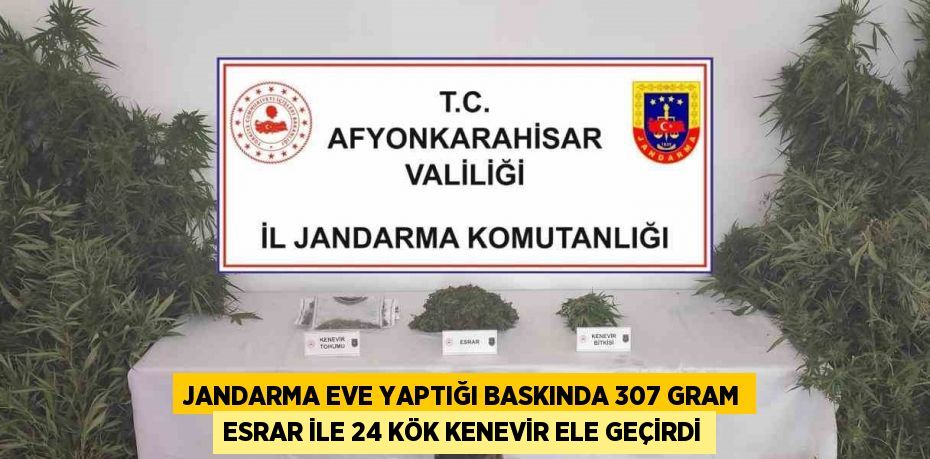 JANDARMA EVE YAPTIĞI BASKINDA 307 GRAM ESRAR İLE 24 KÖK KENEVİR ELE GEÇİRDİ