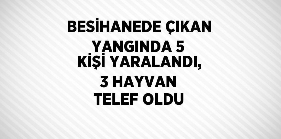 BESİHANEDE ÇIKAN YANGINDA 5 KİŞİ YARALANDI, 3 HAYVAN TELEF OLDU