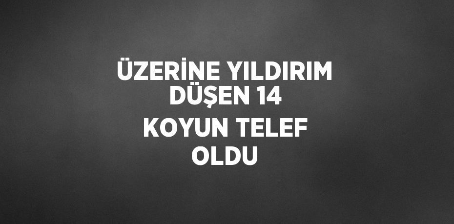 ÜZERİNE YILDIRIM DÜŞEN 14 KOYUN TELEF OLDU