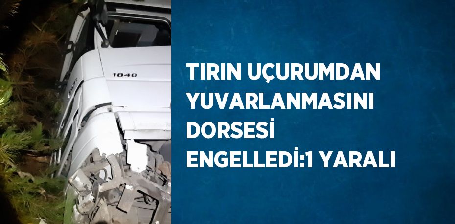 TIRIN UÇURUMDAN YUVARLANMASINI DORSESİ ENGELLEDİ:1 YARALI