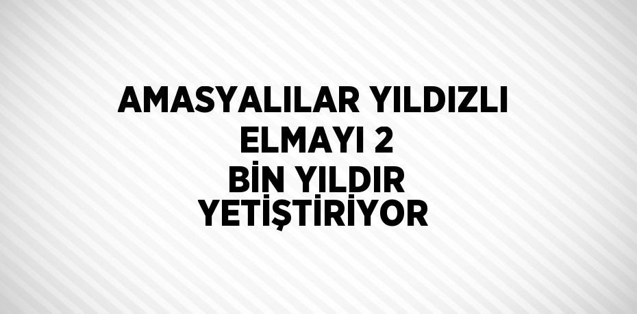 AMASYALILAR YILDIZLI ELMAYI 2 BİN YILDIR YETİŞTİRİYOR