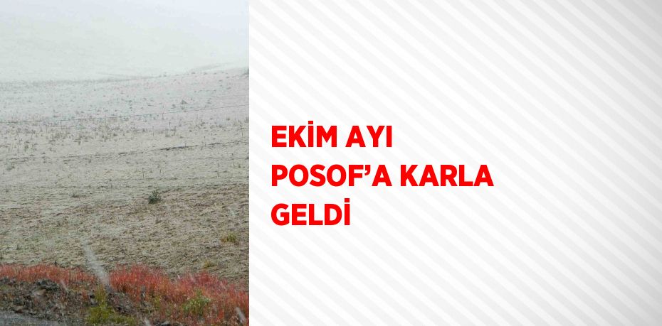 EKİM AYI POSOF’A KARLA GELDİ