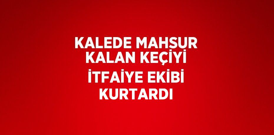 KALEDE MAHSUR KALAN KEÇİYİ İTFAİYE EKİBİ KURTARDI