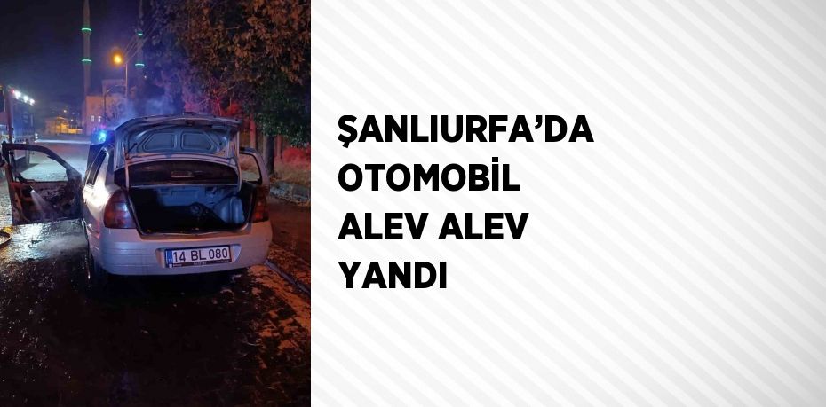 ŞANLIURFA’DA OTOMOBİL ALEV ALEV YANDI