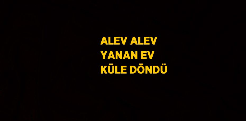 ALEV ALEV YANAN EV KÜLE DÖNDÜ