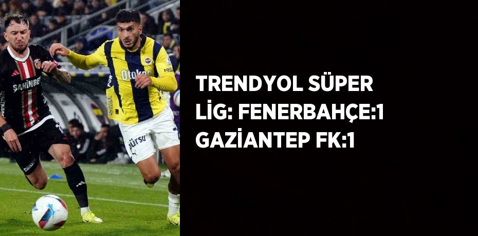 TRENDYOL SÜPER LİG: FENERBAHÇE:1 GAZİANTEP FK:1