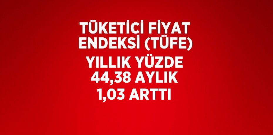 TÜKETİCİ FİYAT ENDEKSİ (TÜFE) YILLIK YÜZDE 44,38 AYLIK 1,03 ARTTI