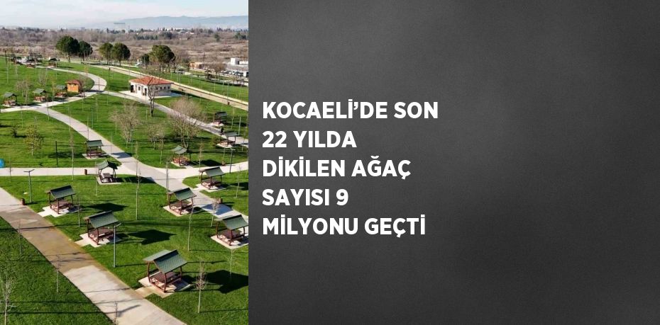 KOCAELİ’DE SON 22 YILDA DİKİLEN AĞAÇ SAYISI 9 MİLYONU GEÇTİ