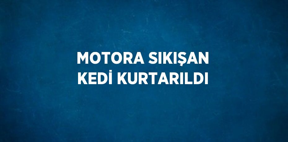 MOTORA SIKIŞAN KEDİ KURTARILDI