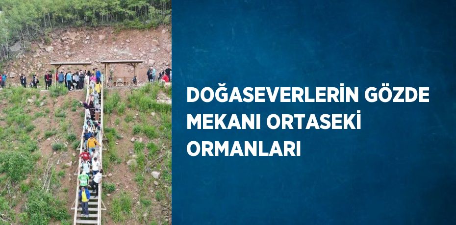 DOĞASEVERLERİN GÖZDE MEKANI ORTASEKİ ORMANLARI